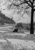 1966 - UNA CORPOSA NEVICATA SU ROCCA ALTA